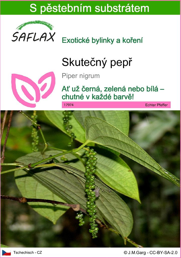 SAFLAX - skutečný pepř - Piper nigrum - 20 Semena - S Obrázek produktu 