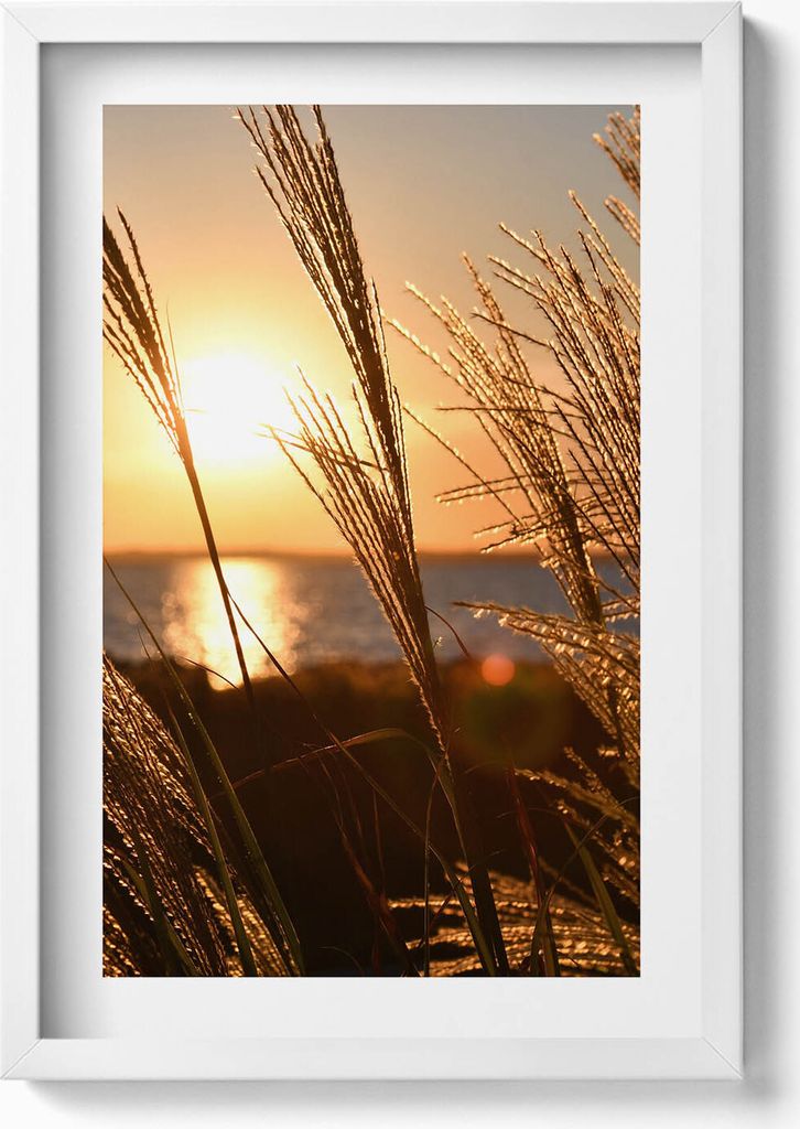 Weizen in der Goldenen Stunde– Wandbild mit Rahmen – Gerahmtes Bild – Wanddekoration – 40x60 cm – Weiß