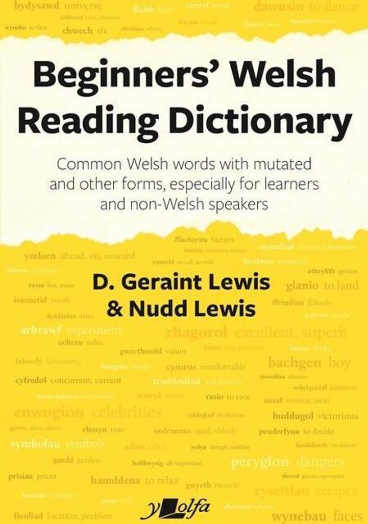 Welsh Reading Dictionary The – Lingua: Inglese