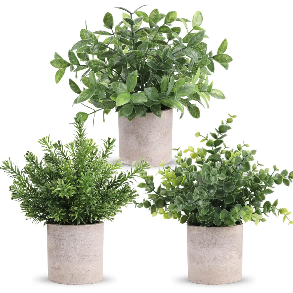 Petites plantes artificielles : déco verte sans arrosage pour étagères