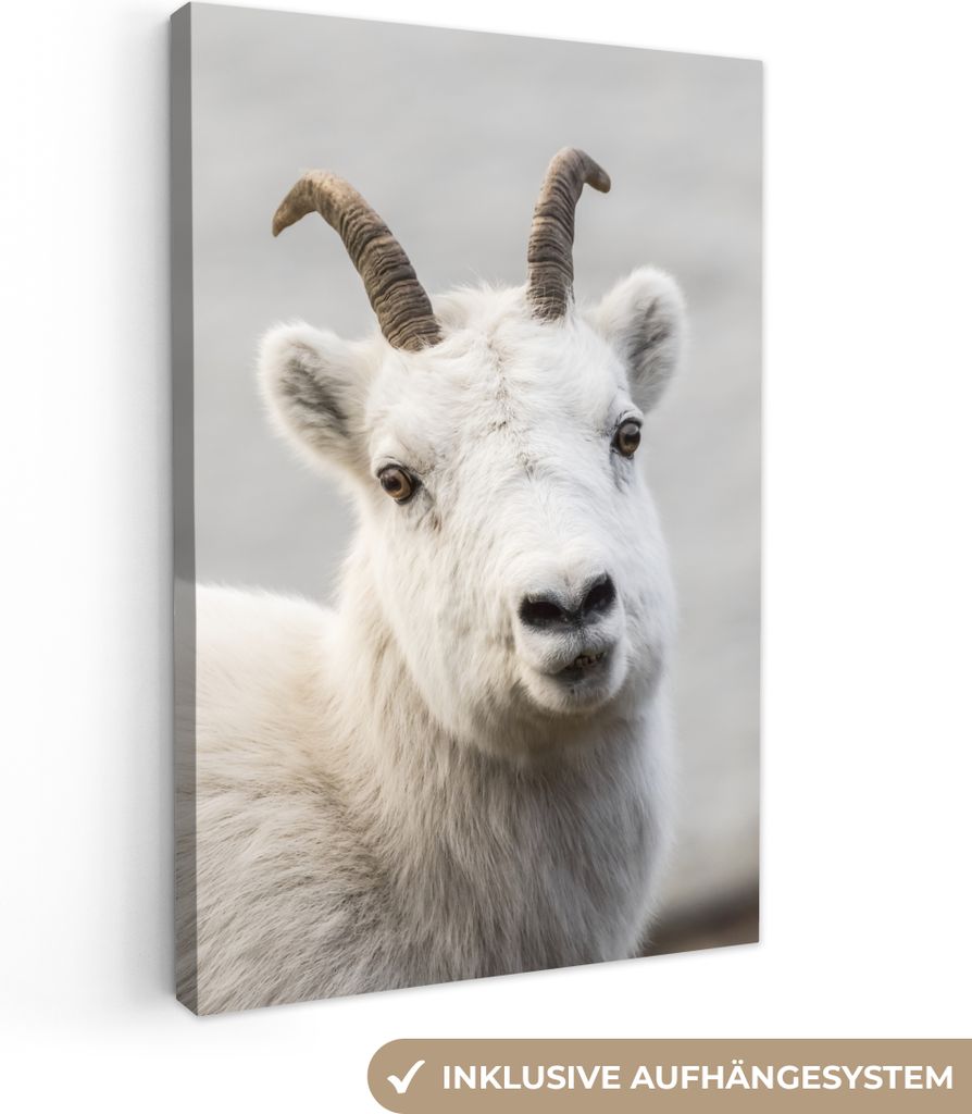OneMillionCanvasses - Leinwandbilder - 90x140 cm, Schaf - Horn - Weiß, Wandbilder Kunstdruck Wanddekoration - Wandschmucke - Schlafzimmer