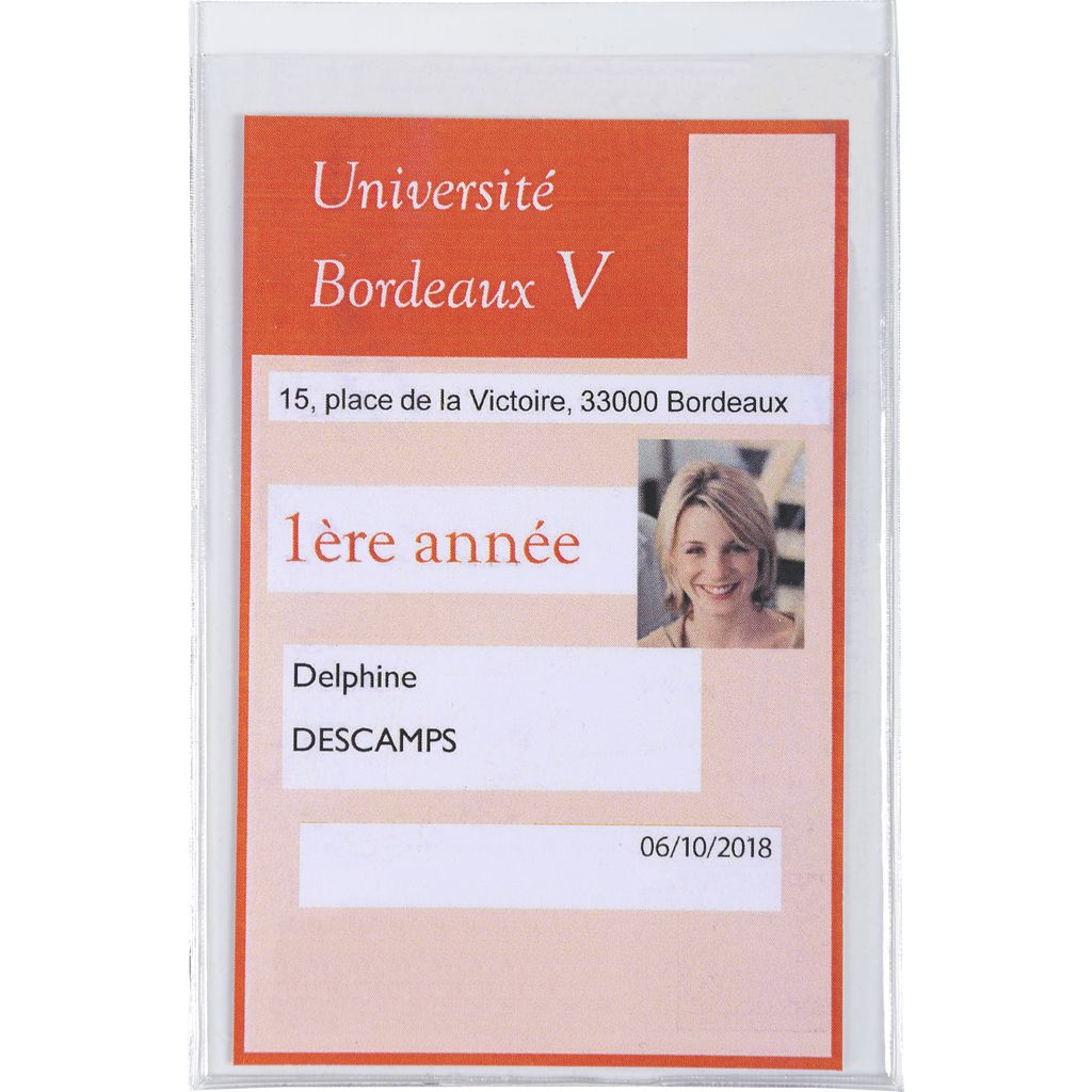 Exacompta 10x 10 Schutzhüllen einfach glattem PVC 200μ 75x120mm Kristall 5392UE