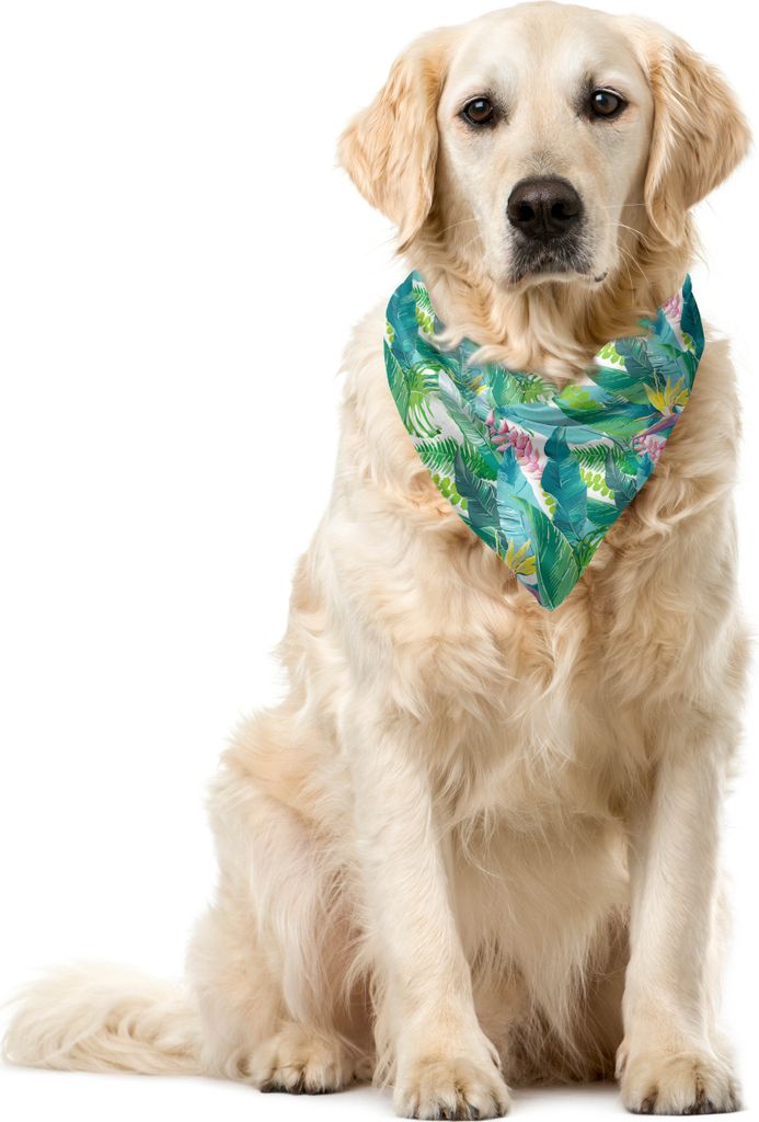 ABAKUHAUS Aquarell Haustier Bandana, Exotische Dschungel Hawaii, 55x55 cm, Grün, Rosa, Weiß