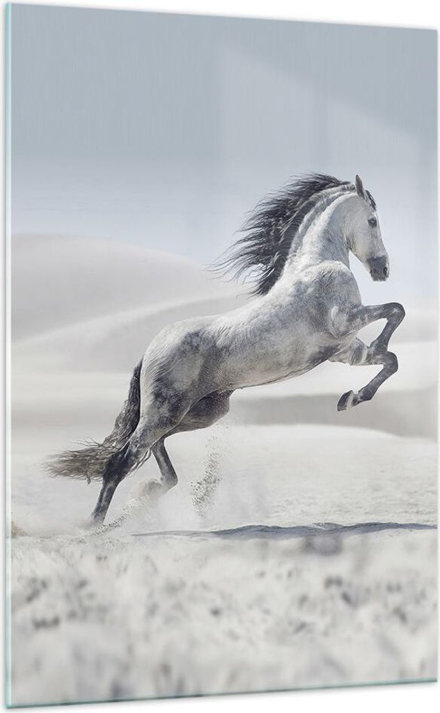 Bilder auf glas - Einteilig - Pferd Tier Natur - 70x100cm - Glasbilder - Wandbilder - Bilder - zum Aufhängen bereit - Wanddekoration aus Glas - Gl...