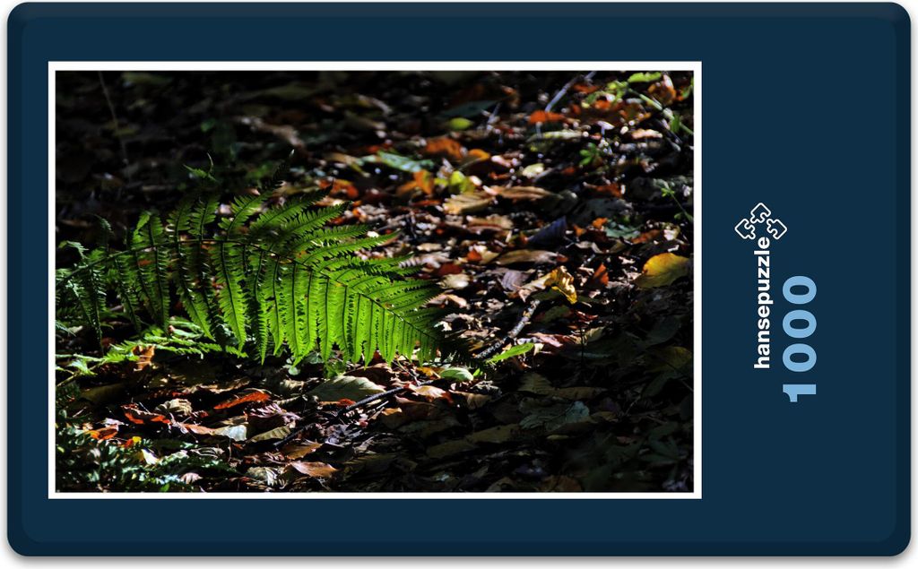 hansepuzzle 11475 - Wald-Boden Puzzle, 1000 Teile, Natur, 60,0 x 46,0cm mit hochwertiger Aufbewahrung, Kartonbox und wiederverschließbarem Beutel