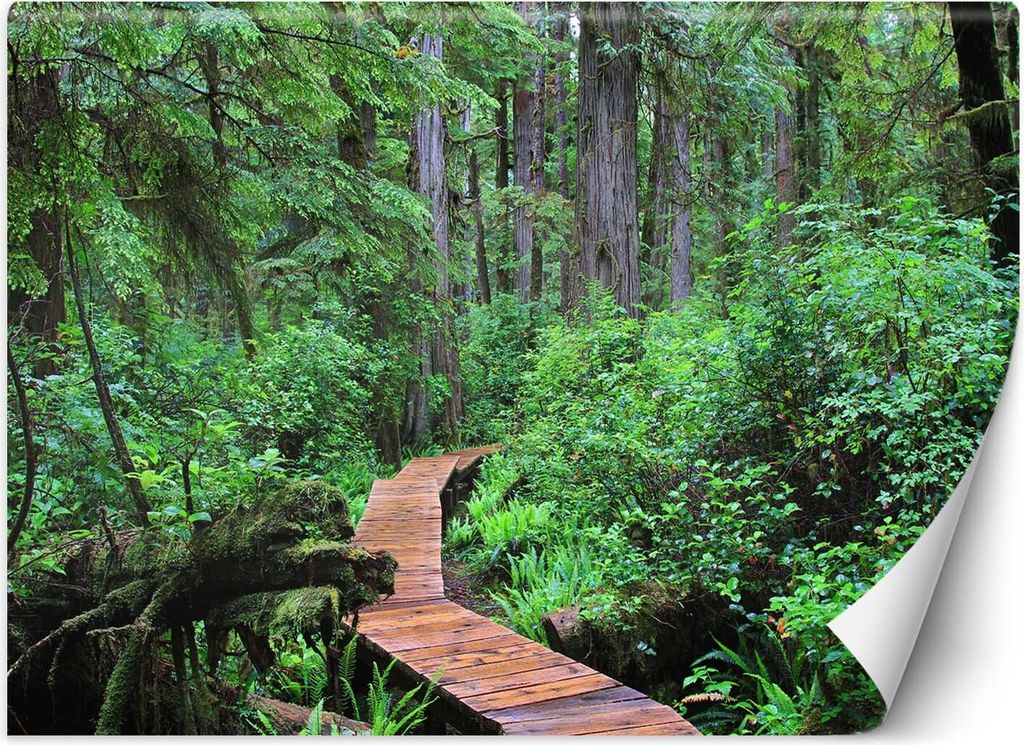 Vlies fototapete Fußgängerbrücke im Wald 450x315 cm Feeby Grün inkl. Kleber einfache Montage
