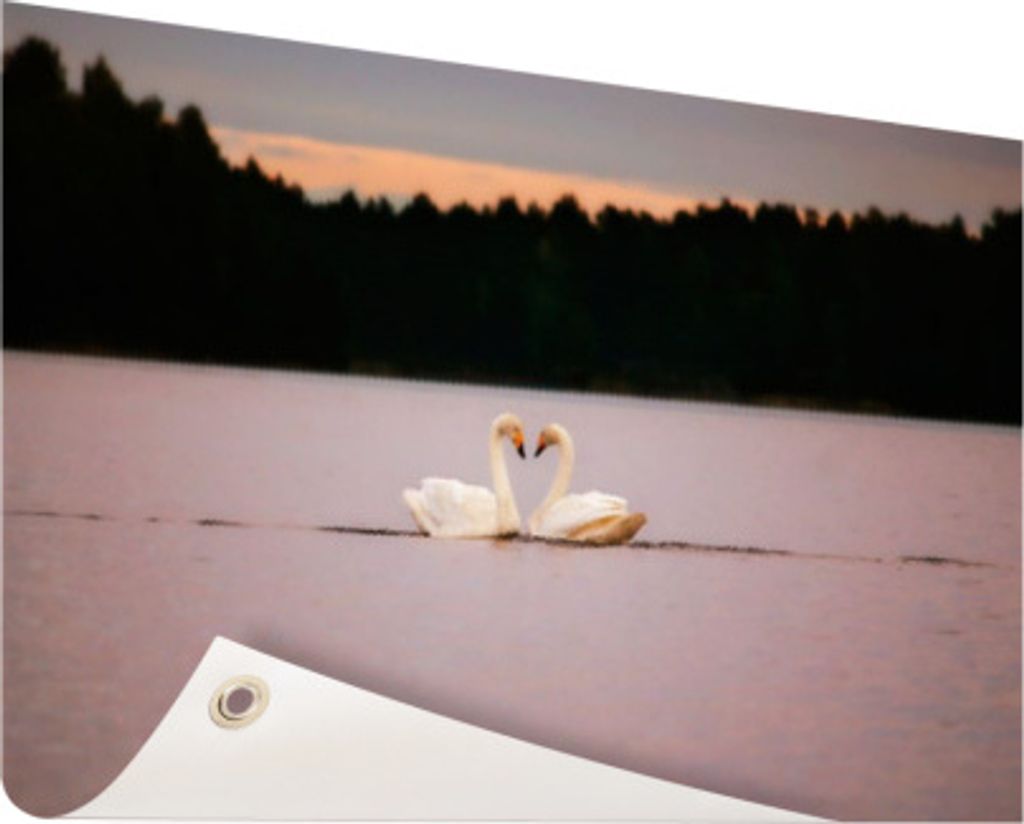 MuchoWow 40x30 cm Outdoor-Poster Gartendeko Sichtschutz Garten Poster für den Garten Schwäne - Wasser - Bäume