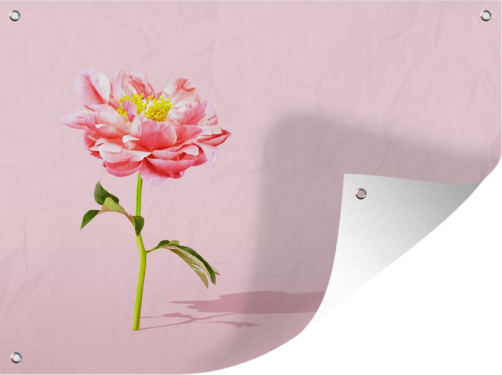 MuchoWow 40x30 cm Outdoor-Poster Gartendeko Sichtschutz Garten Poster für den Garten Rosa Pfingstrose auf einem rosa Hintergrund