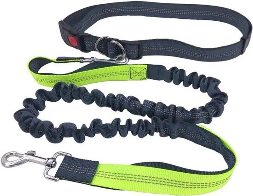 Ceinture de course pour chien : stop aux douleurs de dos - Vert Sécurité