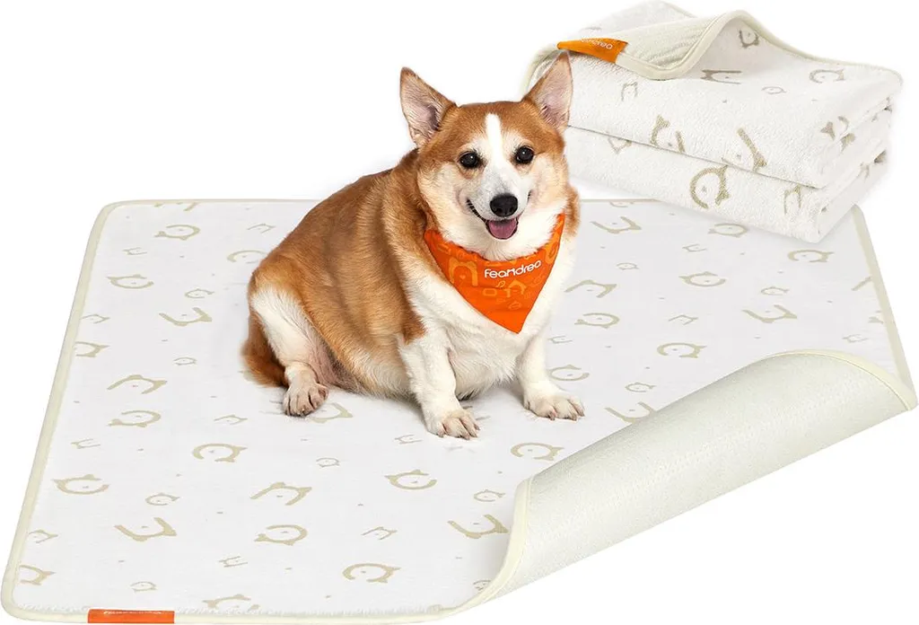 Set 2 Tappetini Lavabili per Cani 122x91 cm | Ideale per Cuccioli
