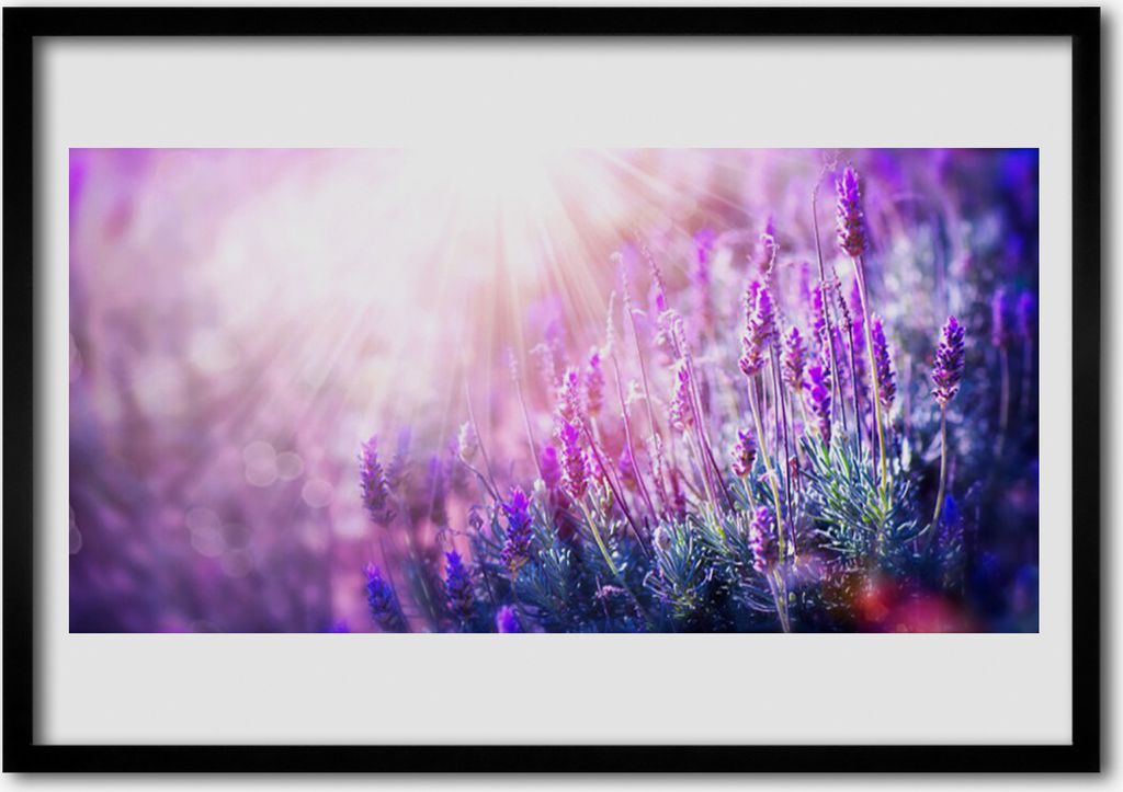 Bild 100x70 MDF-Rahmen Wandkunst Blumen Pflanzen Natur