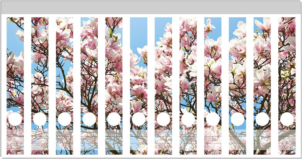 Wallario Ordnerrücken Sticker, selbstklebend für schmale Ordner, 12 Stück, Motiv Schöne rosa Magnolien-Blüten vor blauem Himmel