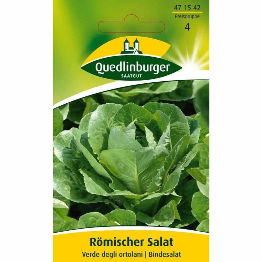 Quedlinburger Saatgut - Römischer Salat Verde degli ortolani - Samen - 471542