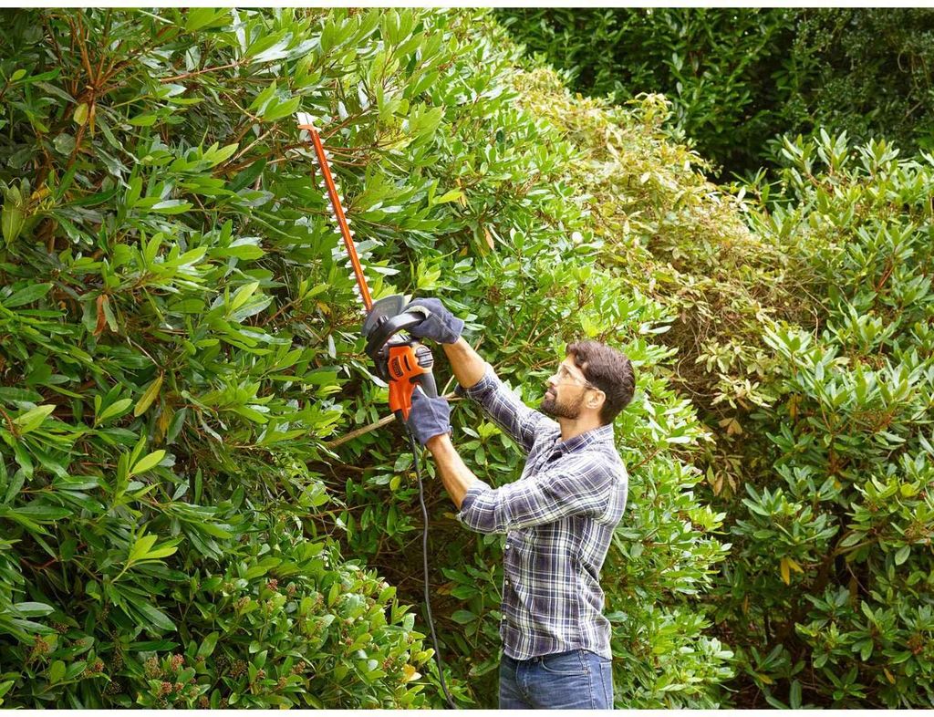 A man is trimming a hedge with an electric hedge trimmer.