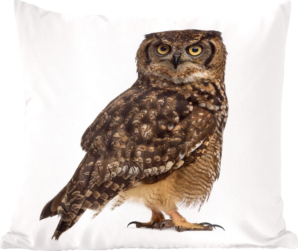 MuchoWow Zierkissen Sofakissen Wohnzimmer Dekokissen 40x40 cm Braune Eule auf weißem Hintergrund - Sofakissenbezüge - ohne füllung