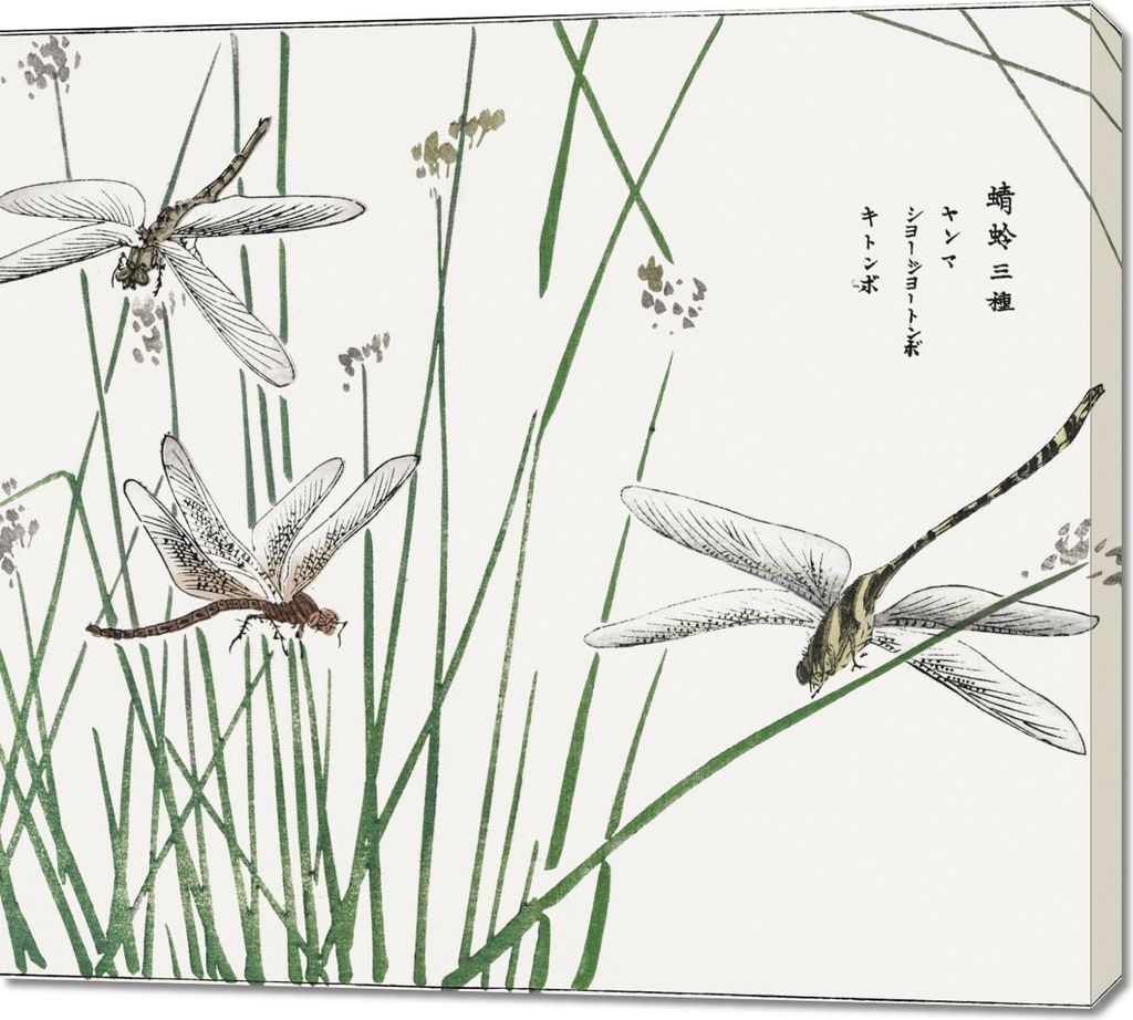 Bild 100x90cm Libellen Morimoto Toko Japanisch Vintage für das Wohnzimmer