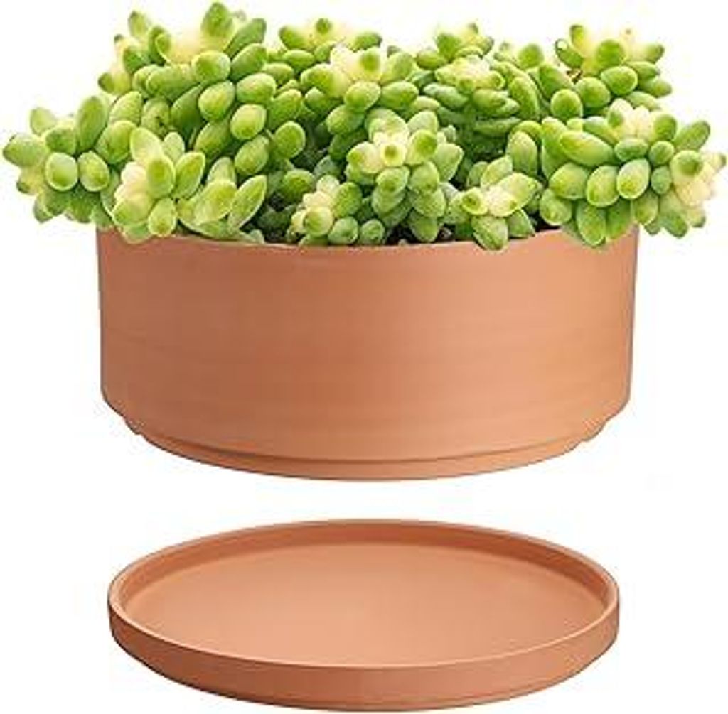 Terrakotta-Blumentöpfe, 25,4 cm Durchmesser, flacher Blumentopf für Innen- und Außenbereich, rund, Sukkulenten-Blumentopf mit Ablaufloch, Tontö...