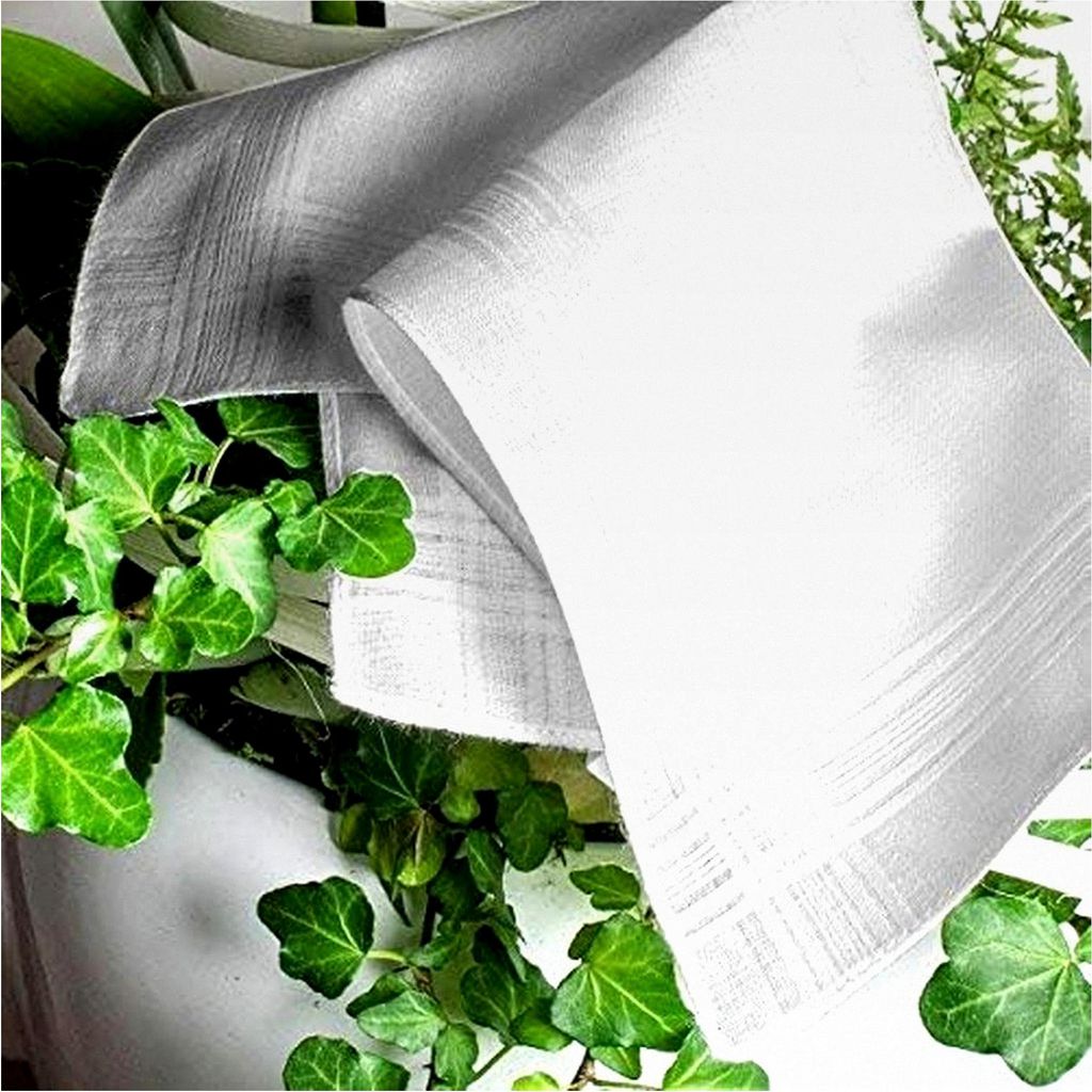 Weiße Damentaschentücher aus 100% Baumwolle - Größe 28cm x 28cm - 12 Stück
