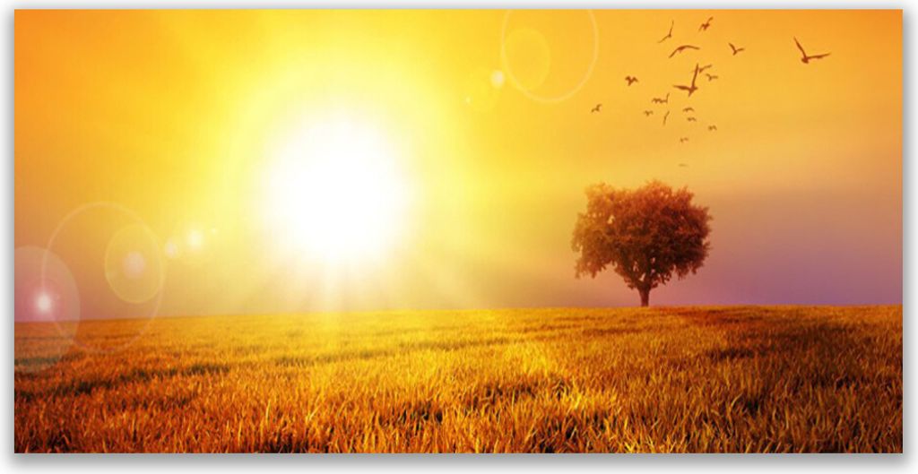 Glasbilder 120x60 Wandbild Druck auf Glas Sonne Wiese Landschaft