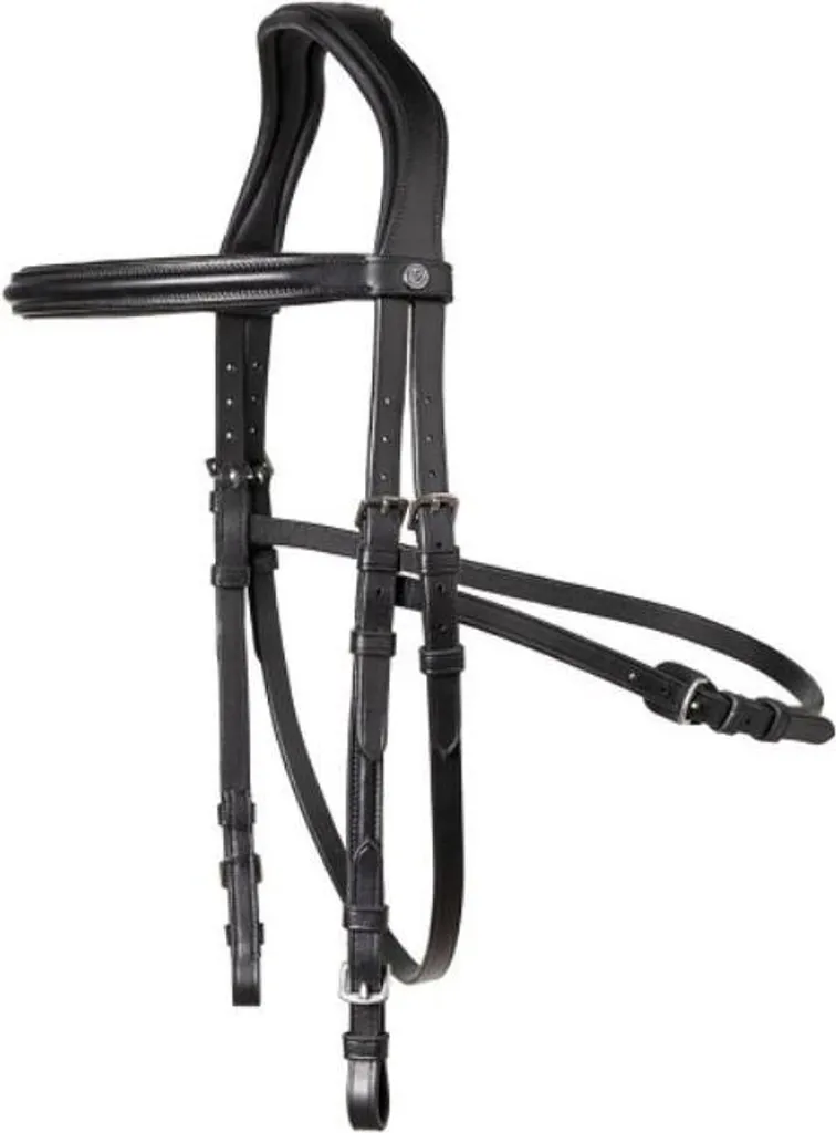Bridon Hickstead Hackamore : Stop aux Blessures de Mors et Stress