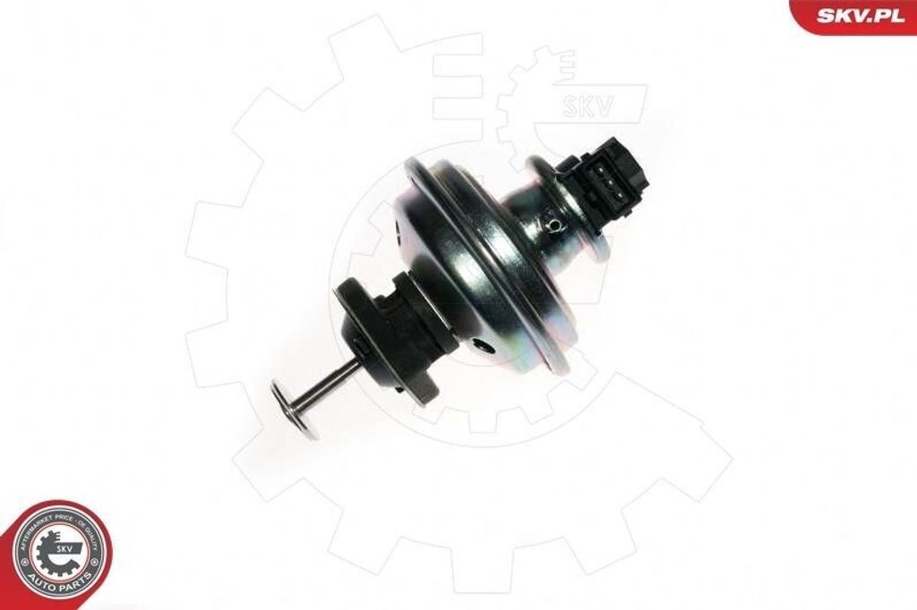 ESEN SKV 14SKV078 AGR-Ventil für BMW 3 Touring (E91) Abgasrückführungsventil