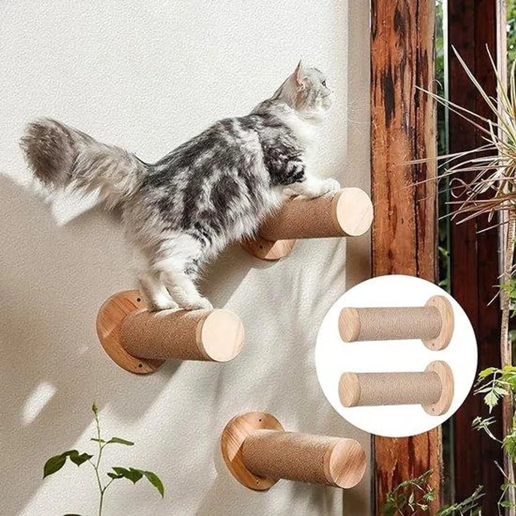 Piège pour chats et petits animaux errants - Cage de capture 30x7x7 cm