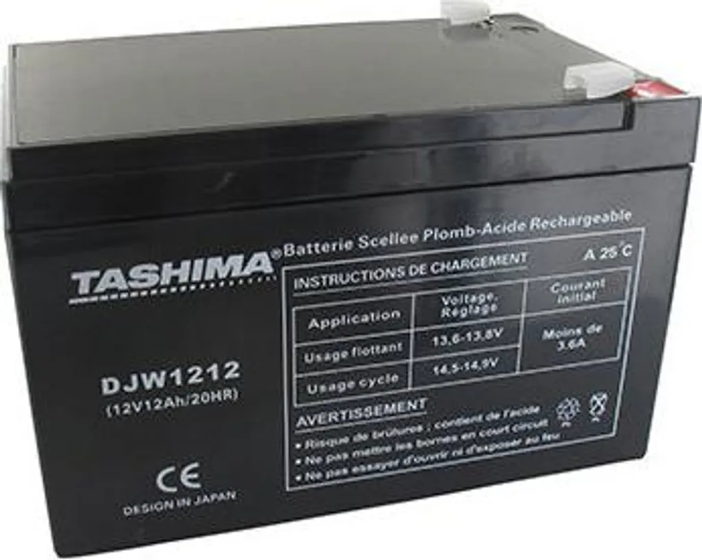 Batterie de Rechange pour Tracteur Al-ko 12V 12Ah | Mise en Acide