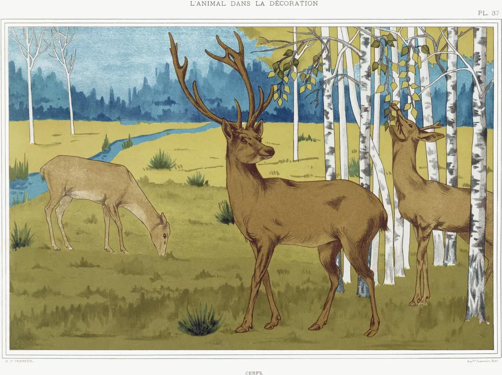Grande Affiche Cerfs Style Rétro 100x75 cm - Papier Premium Mat Salon
