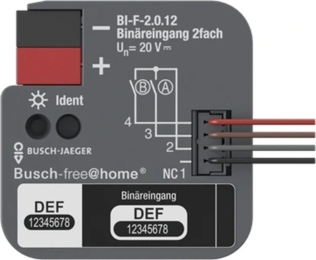 BUSCH JAEGER BJ Binäreingang 2fach UP BI-F-2.0.12 (2CDG510023R0021)