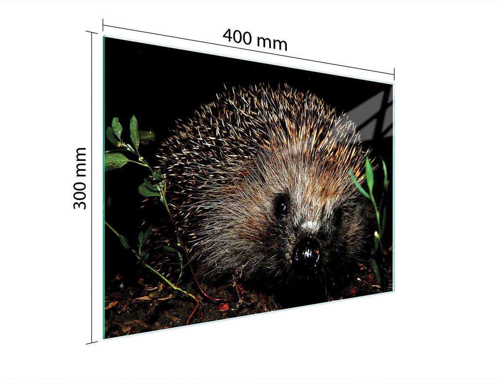 Schneidebrett Herdabdeckplatte Multiglasschneidplatte 40x30 cm Igel Tier