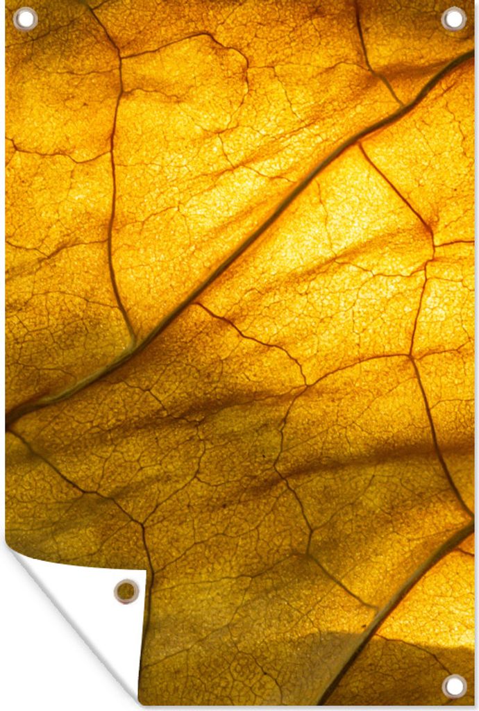 MuchoWow 40x60 cm Outdoor-Poster Gartendeko Sichtschutz Garten Poster für den Garten Blätter - Natur - Gelb