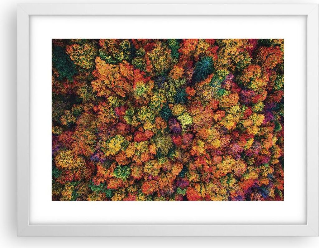 Gerahmtes Poster - Weißer Rahmen - Herbst Perspektive Vogel - 40x30 cm - Wand Bild - Wanddeko - Wandbilder - Kunstposter - Wandposter - Bilderrahm...