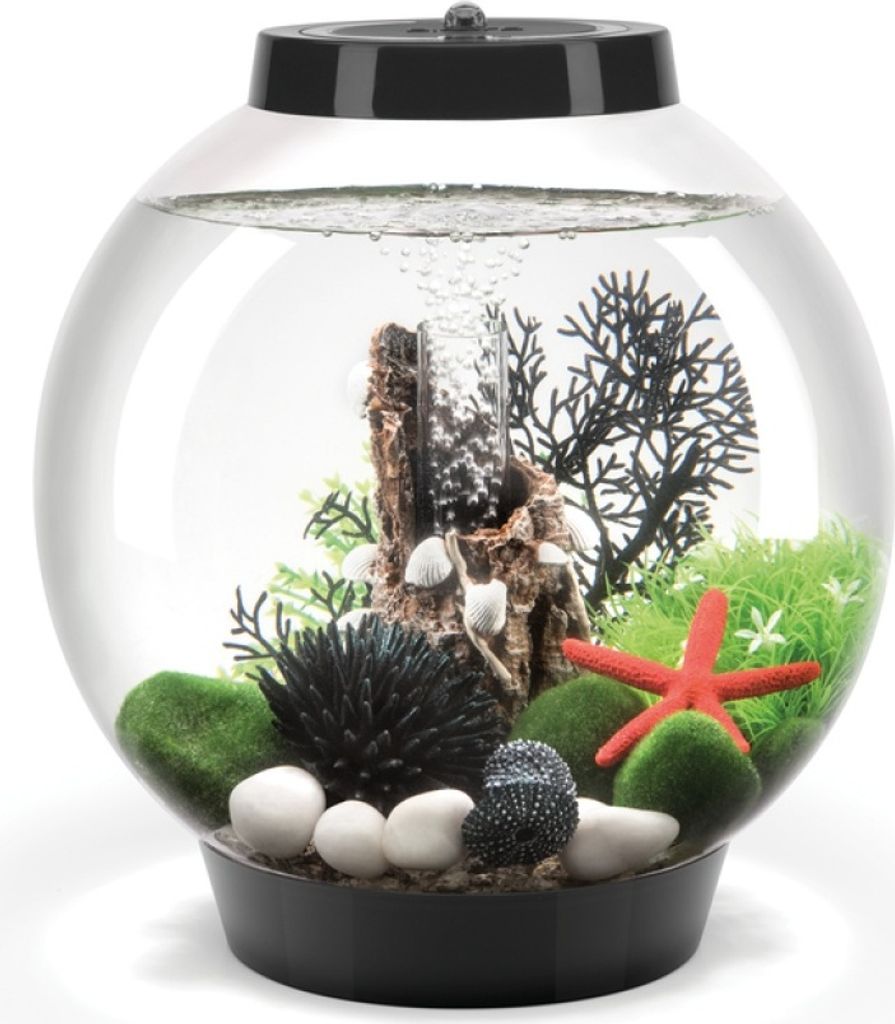 biOrb CLASSIC 15 LED schwarz (71999)