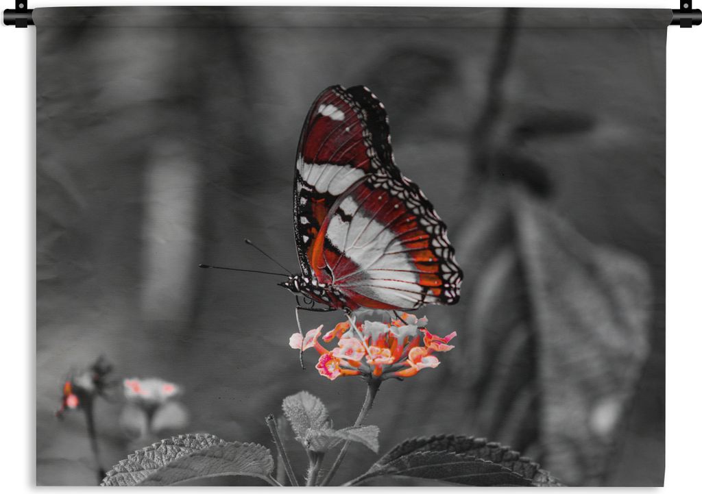 MuchoWow Wandteppich Wandbehang Schmetterling - Tiere - Blumen - Schwarz und weiß - Orange 120x90 cm Tapisserie Dekoration Wandtuch - Wohnen - A...