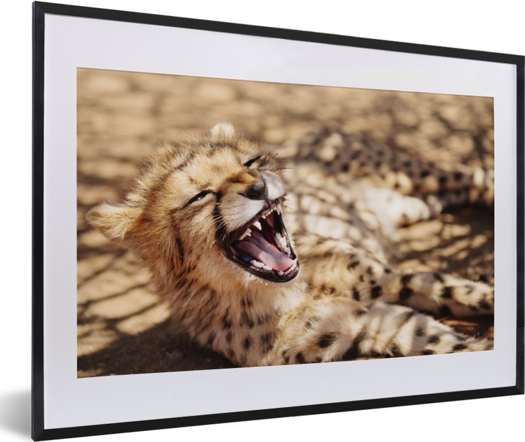 MuchoWow MuchoWow Gerahmtes Poster Gepard - Tier - Nahaufnahme 60x40 cm - Poster mit zchwarzem Bilderrahmen - Schlafzimmer - Plakat in Rahmen -...