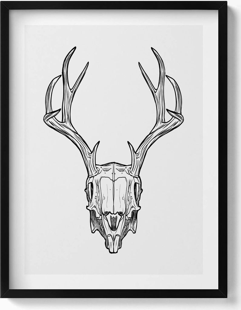 Skizze eines Hirschschädels mit Hörnern– Wandbild mit Rahmen – Gerahmtes Bild – Wanddekoration – 60x80 cm – Schwarz Rahmen