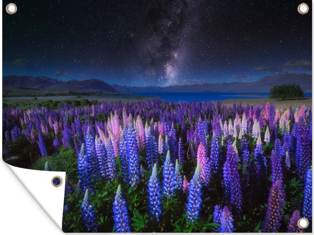MuchoWow 80x60 cm Outdoor-Poster Gartendeko Sichtschutz Garten Poster für den Garten Blumen - Nacht - Lupine - Sternenhimmel - Lila - Natur