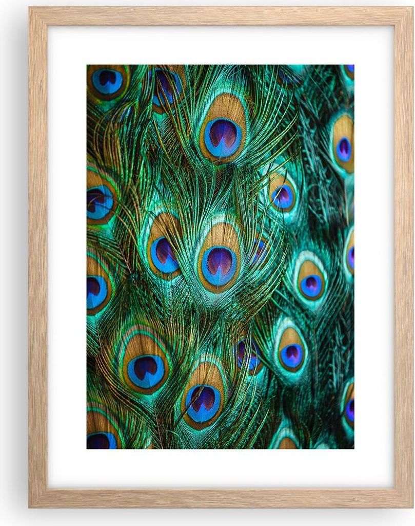 Gerahmtes Poster - Rahmen in heller Eiche - Pfauen Feder Makro - 30x40 cm - Wand Bild - Wanddeko - Wandbilder - Wandposter - Bilderrahmen - Bilder ...