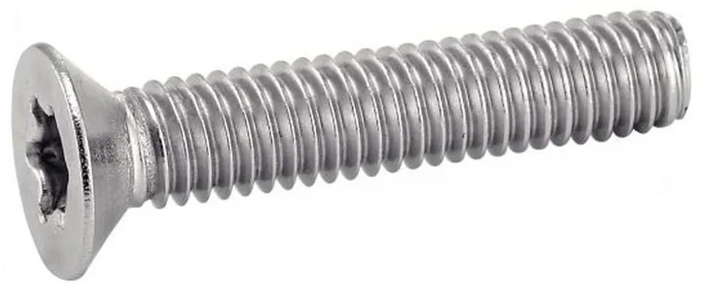 Vis de Fixation M2.5 x 20 mm pour Métaux et Plastiques Inox A2 - 500u