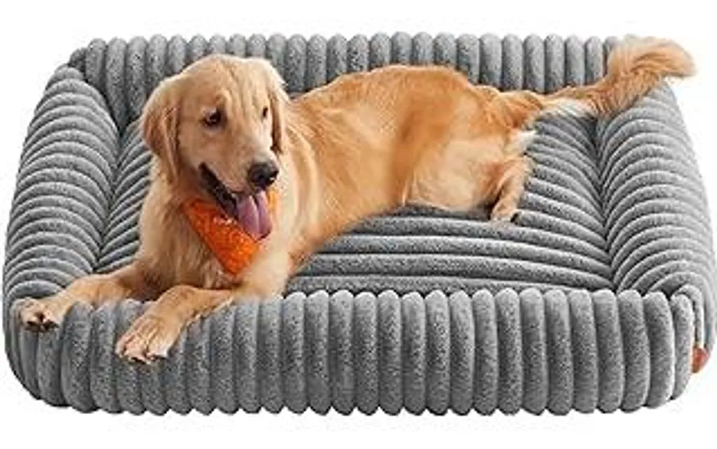 Feandrea Cuccia Cani XL 120cm Ortopedica Grigio Tortora PGW314GD01