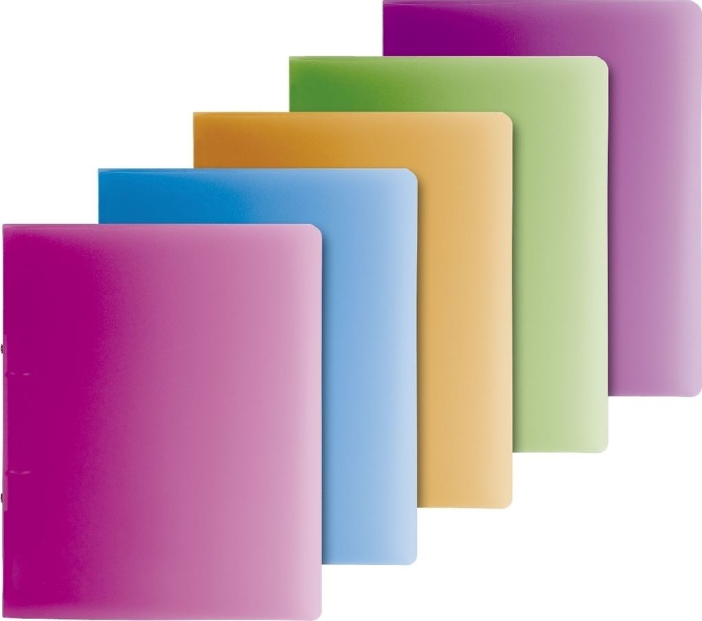 Ringbuch Fact! A4 25mm 2 Ringe farbig sortiert Packung mit 10 Stück