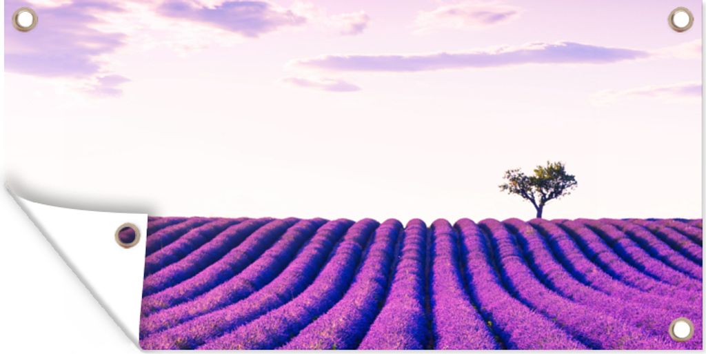 MuchoWow 80x40 cm Outdoor-Poster Gartendeko Sichtschutz Garten Poster für den Garten Lavendel - Bäume - Lila - Blumen