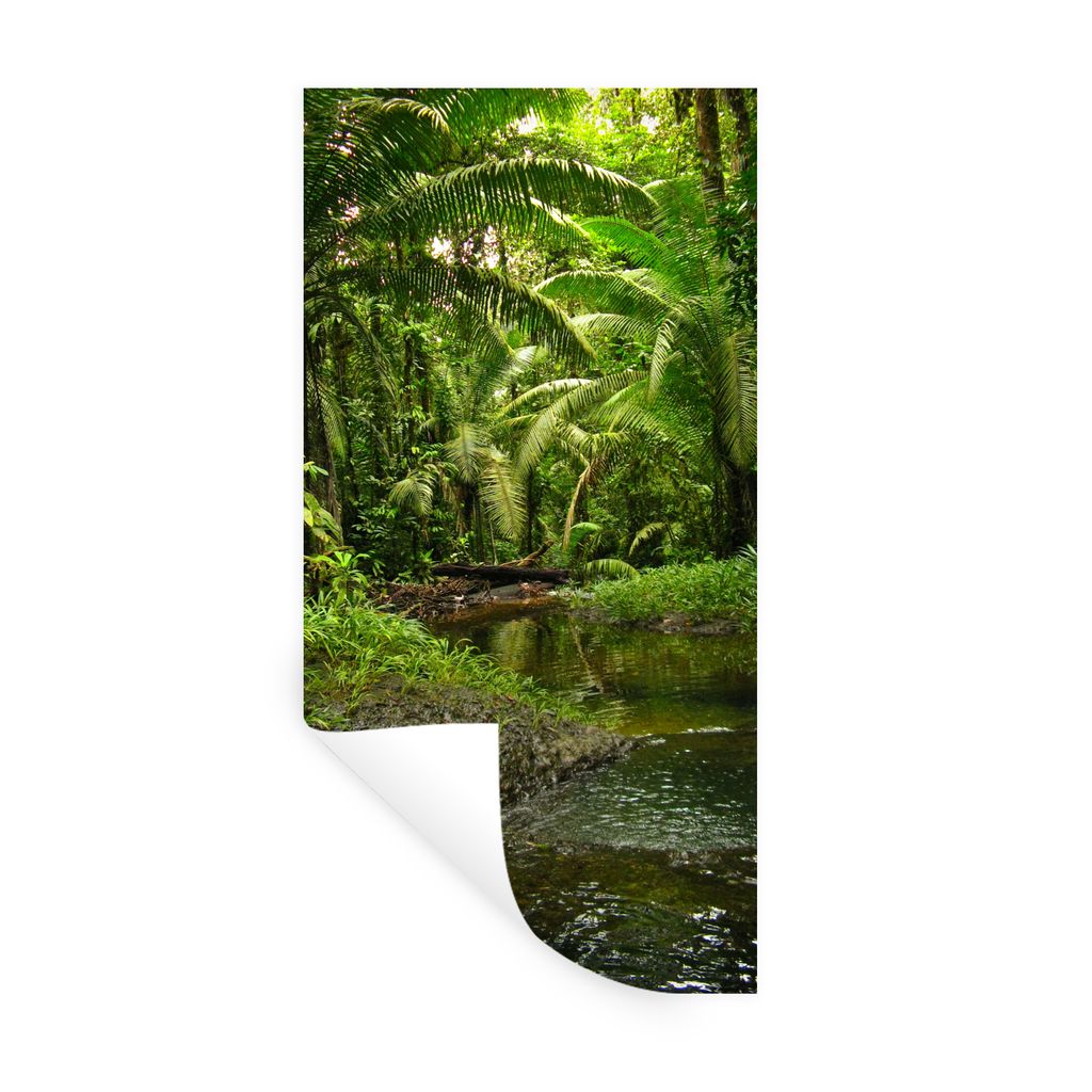 MuchoWow Wandtattoo Wandsticker Wandaufkleber Tropischer Regenwald in Kolumbien 60x120 cm Selbstklebend und Repositionierbar - Selbstklebend - Fo...