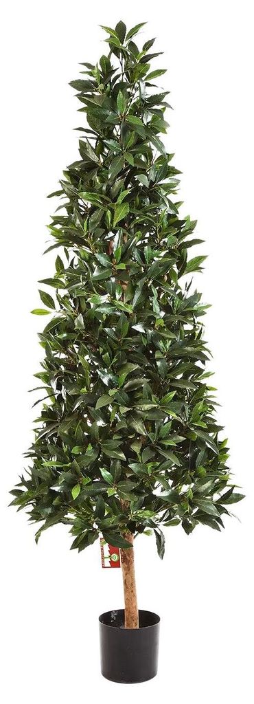 aplanta Künstliche Lorbeer - Teresa | 110 cm, Echtholzstamm, für drinnen, Kunstbaum, wie echt, Allergiker geeignet, pflanzliche Dekoration Praxis...
