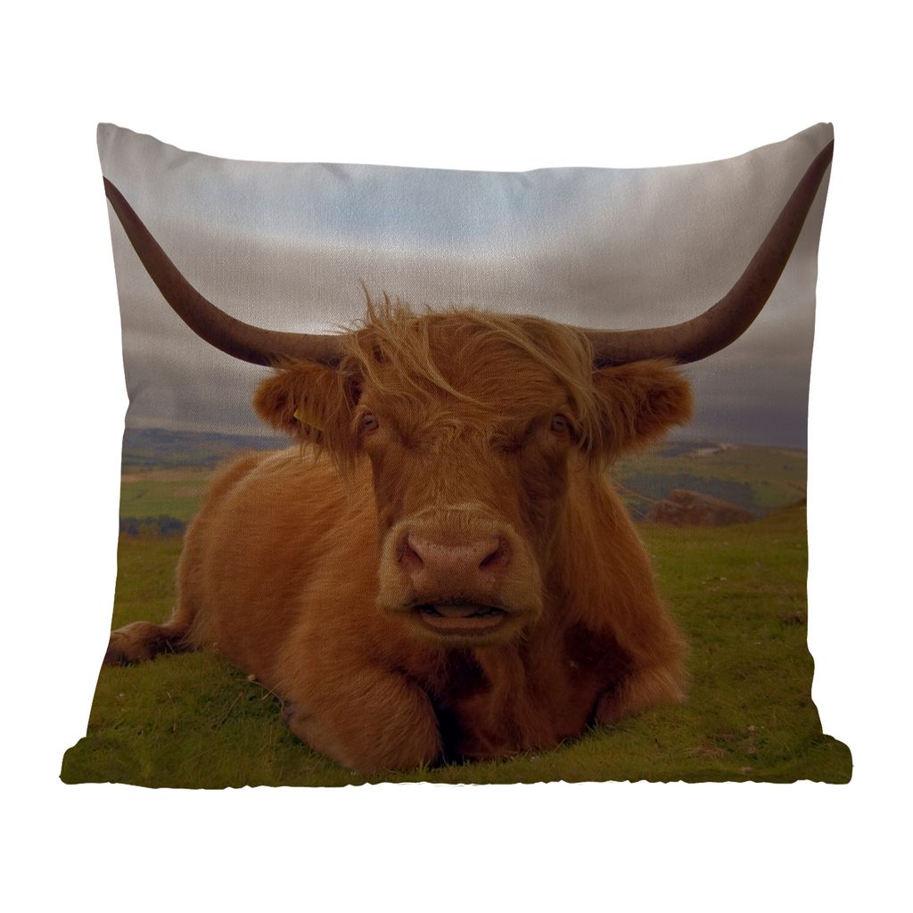 MuchoWow® Outdoor Kissen - Schottisches Hochlandrind - Produktbild 