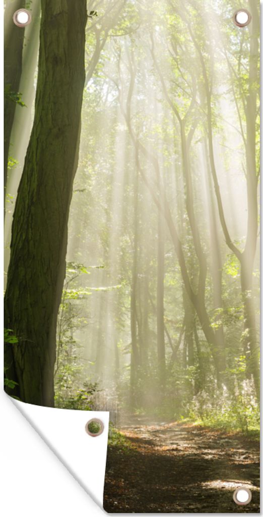 MuchoWow 80x160 cm Outdoor-Poster Gartendeko Sichtschutz Garten Poster für den Garten Wald - Licht - Natur - Landschaft