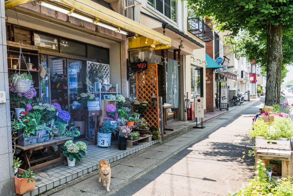 hansepuzzle 25121 - Blumen-Geschäft Puzzle, 2000 Teile, Orte, 90,0 x 60,0cm mit hochwertiger Aufbewahrung, Kartonbox & Beutel