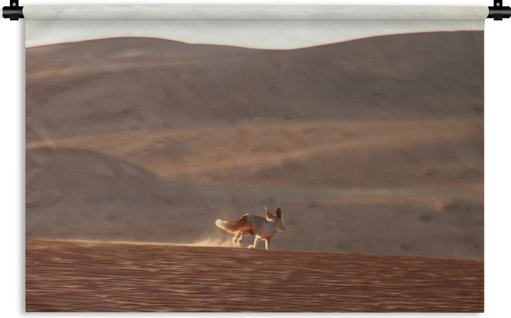 MuchoWow Wandteppich Wandbehang Fuchs - Tiere - Wüste 90x60 cm Tapisserie Dekoration Wandtuch - Wandskulpturen - Bildteppich