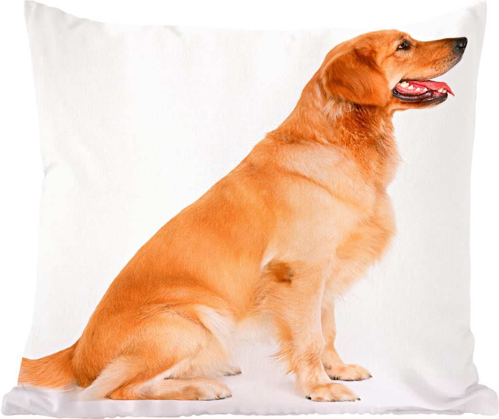 MuchoWow Zierkissen Sofakissen Wohnzimmer Dekokissen 45x45 cm Seitenansicht eines sitzenden Golden Retrievers - Schlafpolster - Polster für das ...