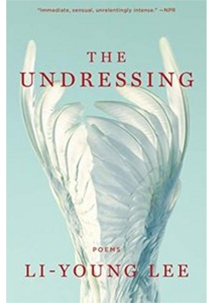 The Undressing